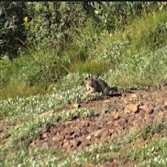 Screen Shot 2016-07-14 at 11.07.08 PM.jpg